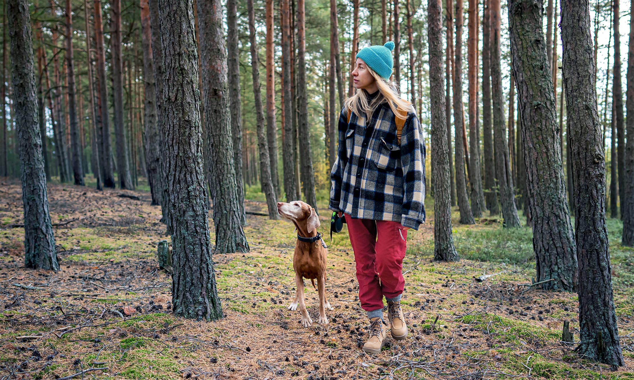 Aujeszkysche Krankheit (Pseudowut) beim Hund in Deutschland